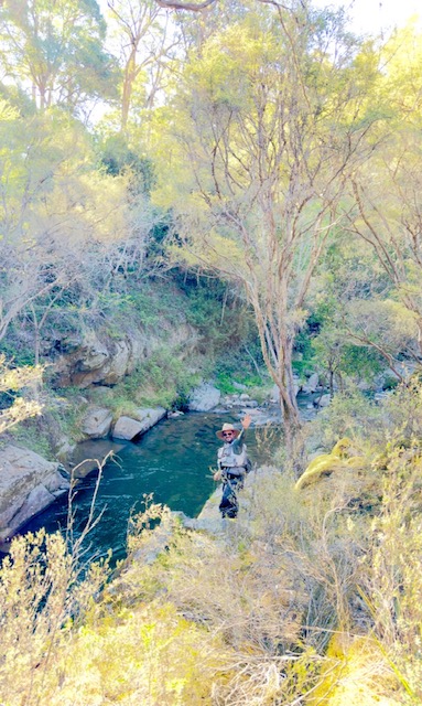 Fly fisher casting into a deep gorge pool framed by gums