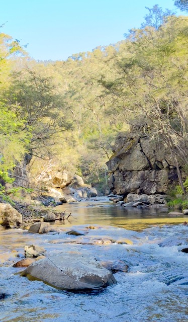 Rocky river gorge with clear water flowing through gum-lined hills